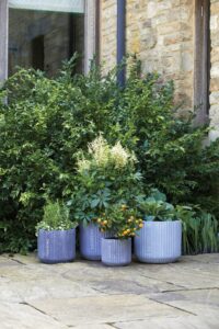 03 PANTONE RIBBED MIX 2 PR Woodlodge partners with Pantone to create a splash of colour in the nation’s gardens