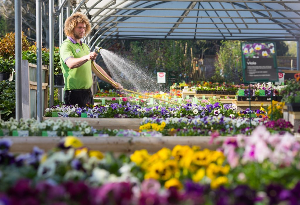 Warm weather and green-fingered Brits contribute to record-breaking sales at Wyevale GC