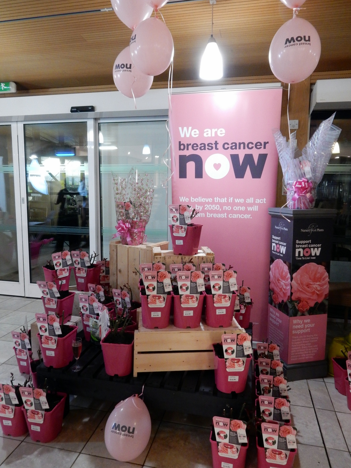 Scotsdales hosts over 165 guests for ‘Ladies Night’ charity event