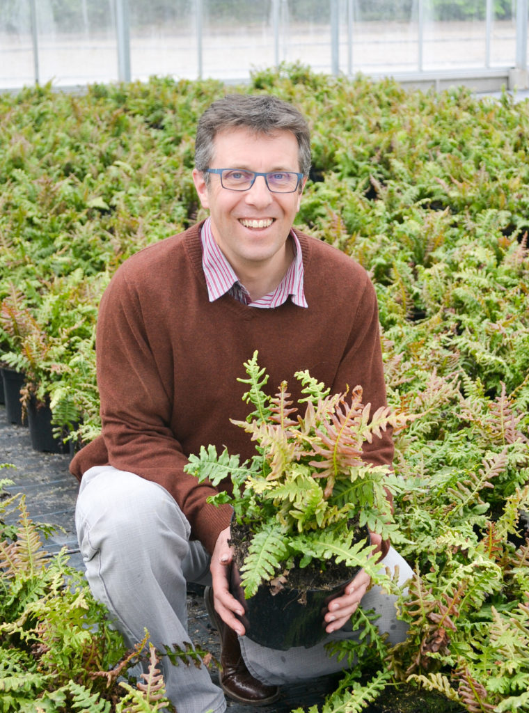 Wyevale Nurseries reports best ever May sales