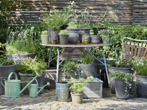 BGREENAW3329 1536px Don’t miss out on Glee, register now!