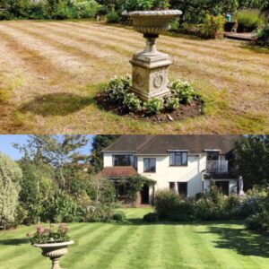 Before after Recovery from DJ Turfcare How can garden retailers advise their customers about the best way to revive dried-up lawns?