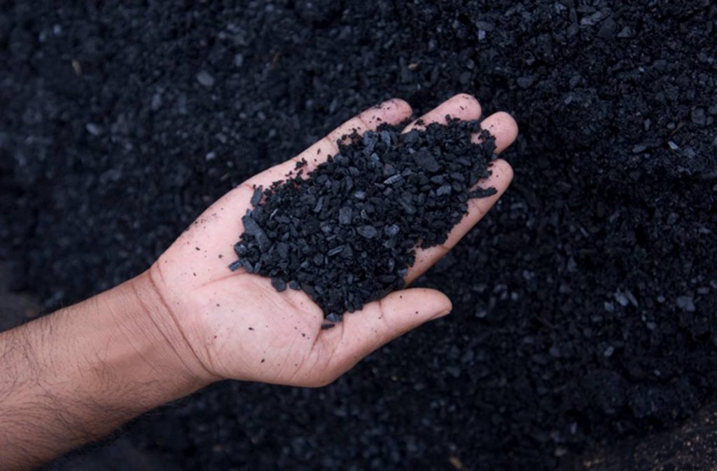 Woodland Trust partners with biochar supplier Carbon Gold