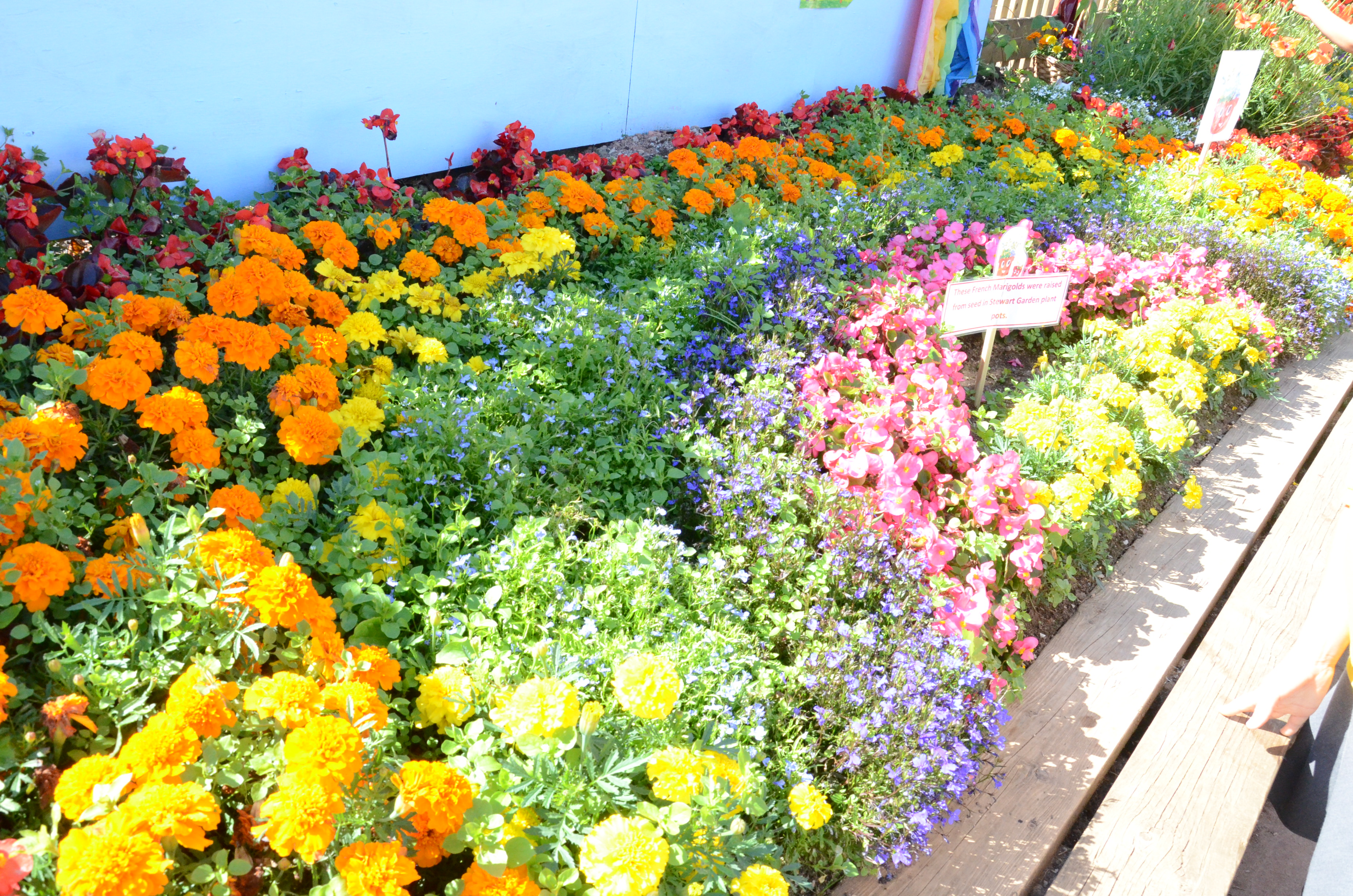 Stewart Garden Schools Campaign announces winner