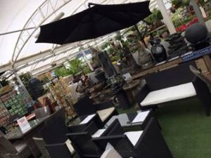 Bristol GC Bristol garden centre blooms with HSBC funding