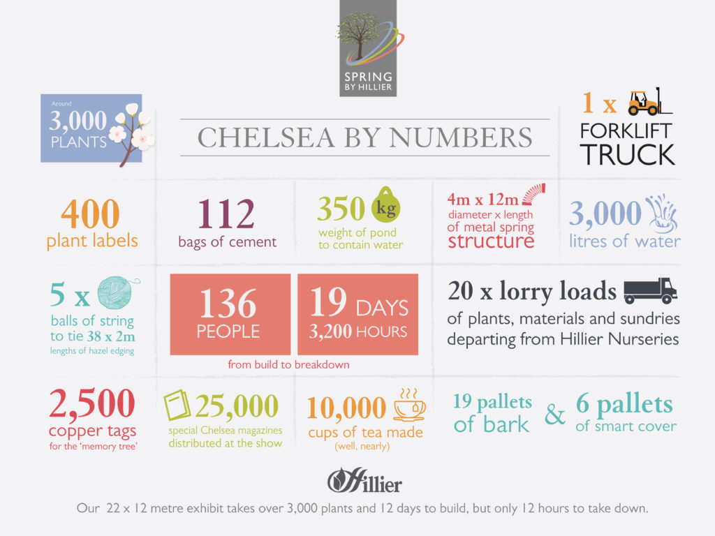 Chelsea by numbers infographic Chelsea by the numbers