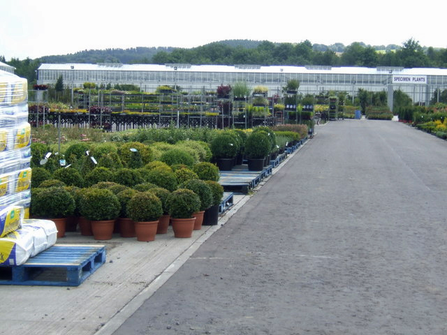 Johnsons hails successful first year of Scottish partnership