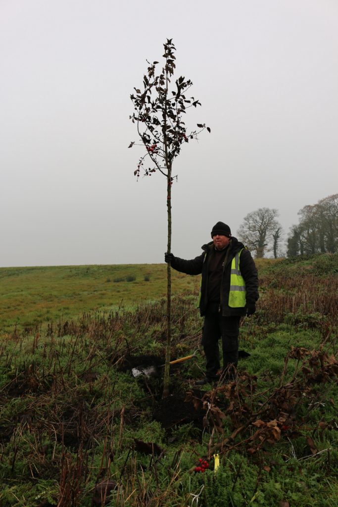 Trees for bees – Johnsons keeping the bee community ‘abuzz’