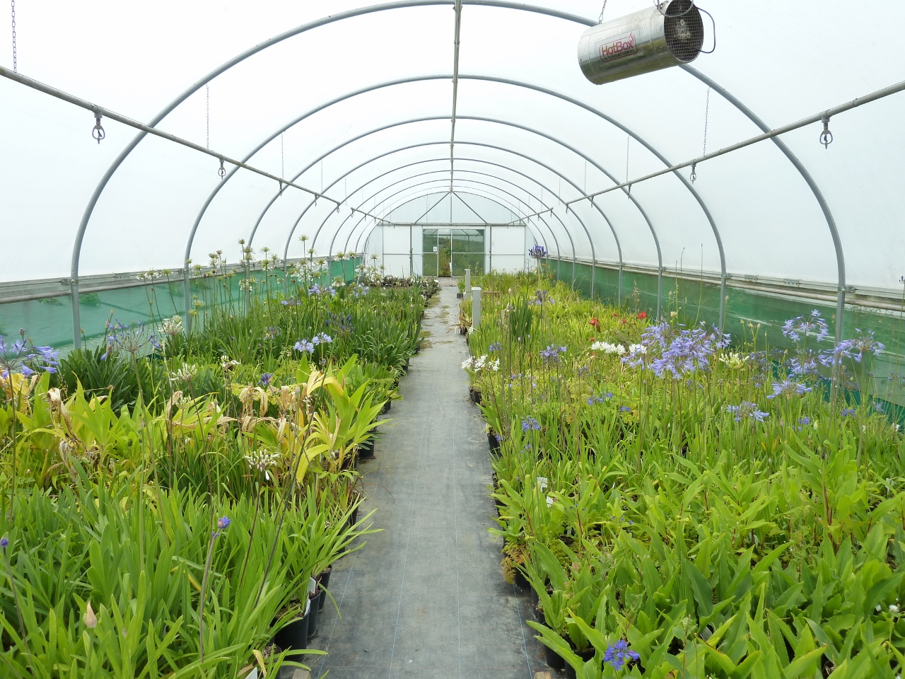ALEXANDER MACKIE ASSOCIATES LTD. ARE PLEASED TO ANNOUNCE THE SALE OF EVOLUTION PLANTS