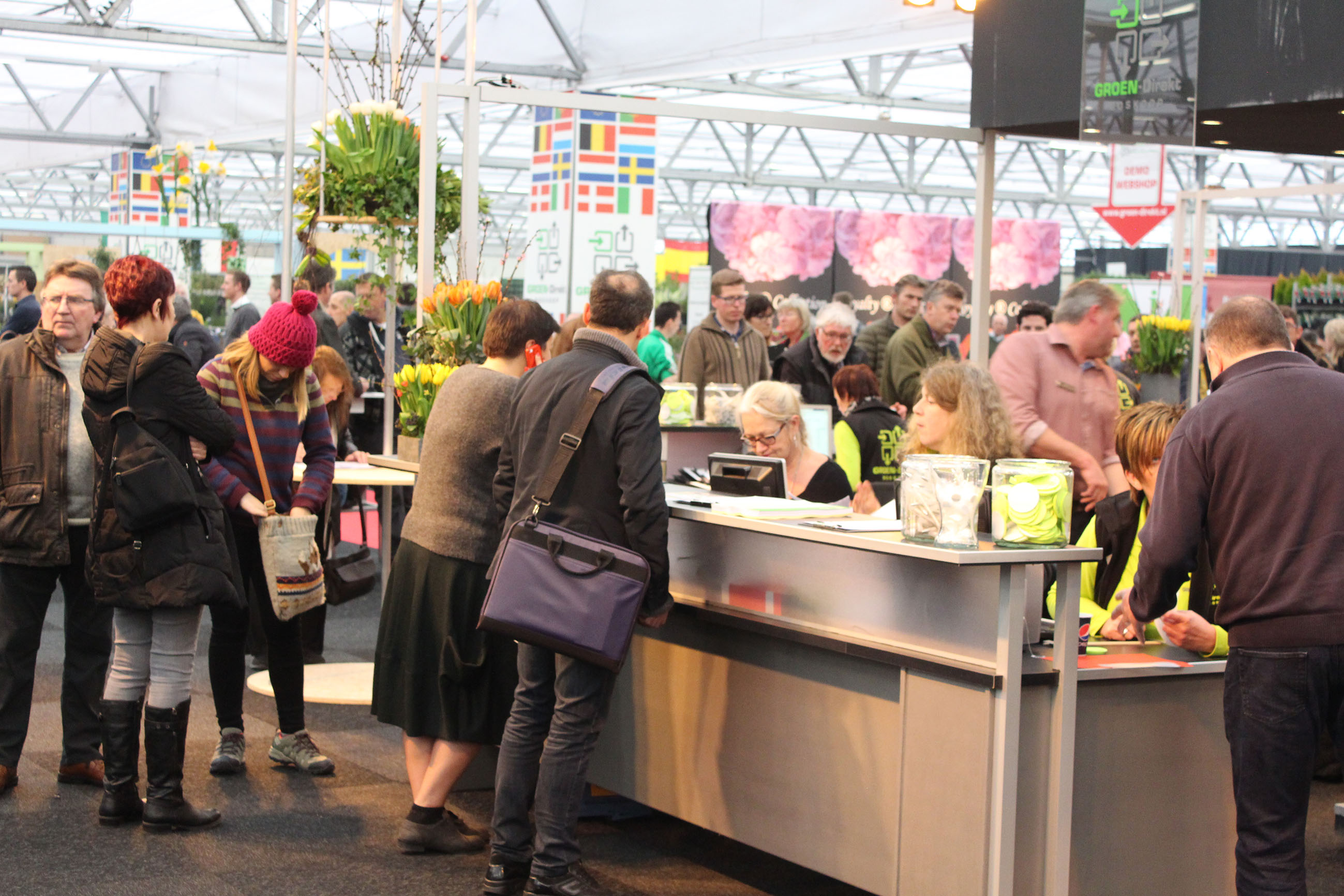 Groen-Direkt introduces Houseplants for 2017