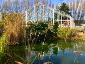 Groves frame £1m Dorset garden centre restaurant designed by MSC draws closer to completion