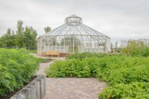 HB RHS Hyde Hall July 2017 SMALL HB credit 7357 Hartley Botanic unveils RHS Hyde Hall glasshouse commission