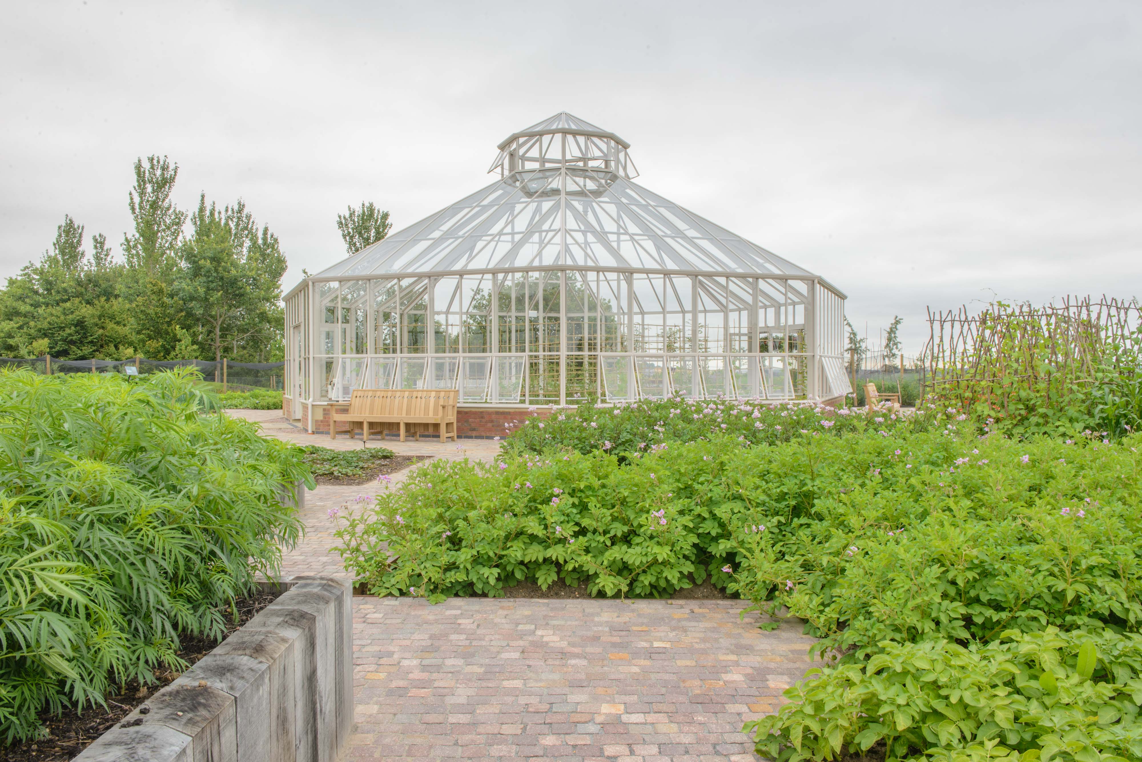 Hartley Botanic unveils RHS Hyde Hall glasshouse commission