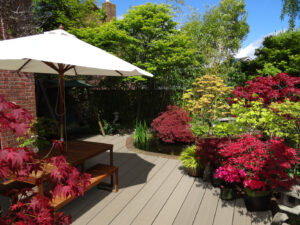 HD Deck Pro Acers Champagne 7 Sustainable decking brand invests in technology to aid its stockist partners