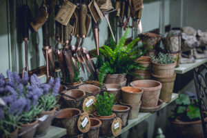 JDP16638 1 Glee in June – everything you need to know