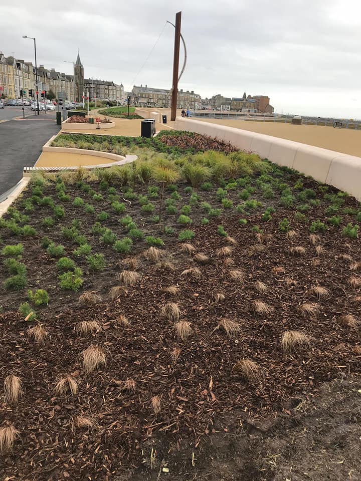 Horticulture nursery dives in to help multi-million pound wave wall project
