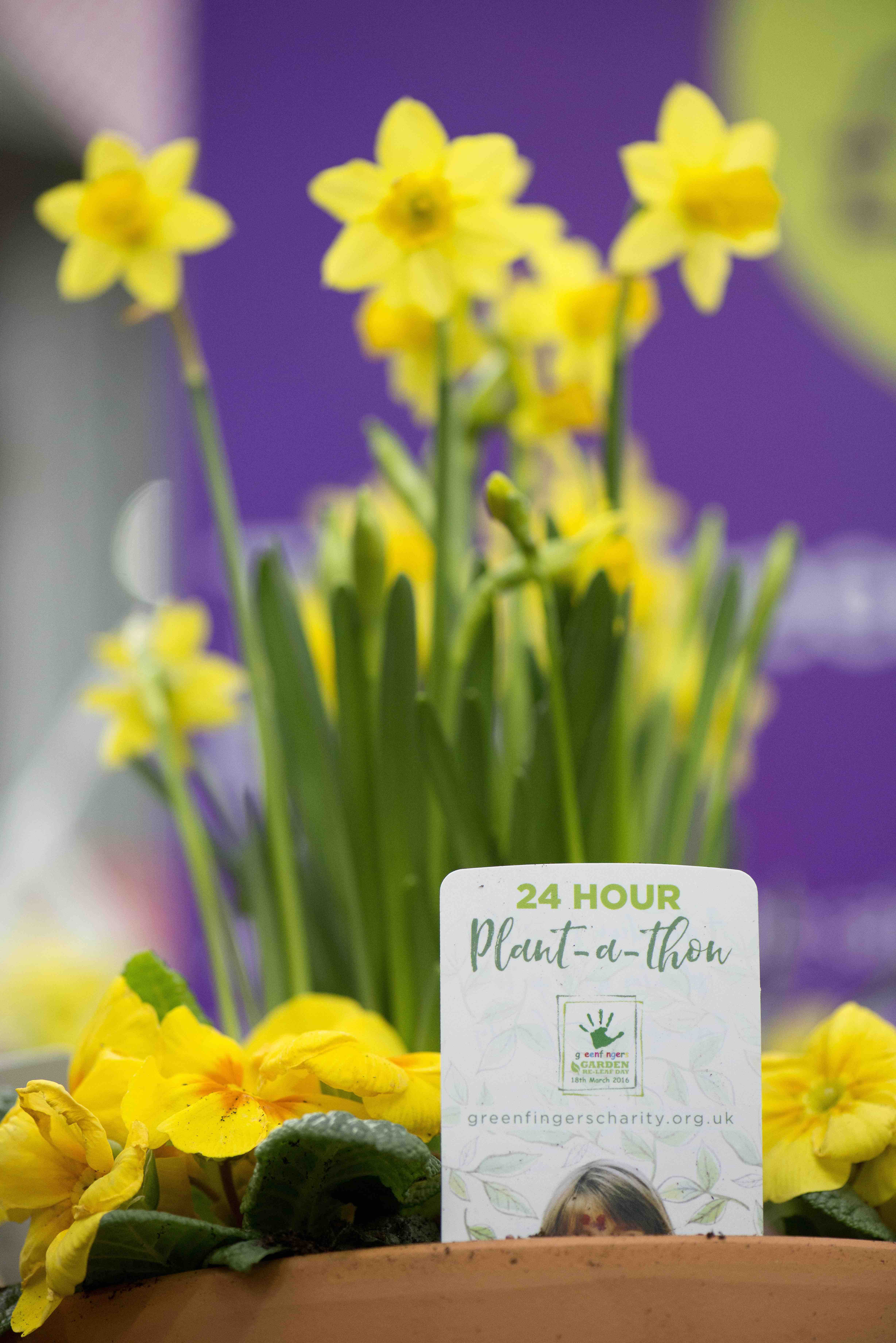 Mega Plant-athons for Garden Re-Leaf Day