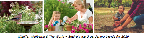 Top 3 gardening trends for 2020