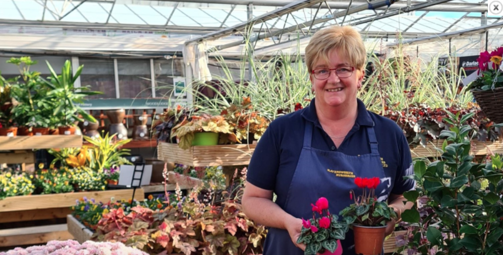 Plant nursery to develop garden centre complex with help from Reward Finance Group