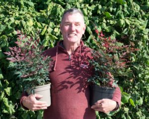 Steve Reed Production Director of the Container Division at Wyevale Nurseries Taupe pot Wyevale Nurseries to introduce recyclable plant pots