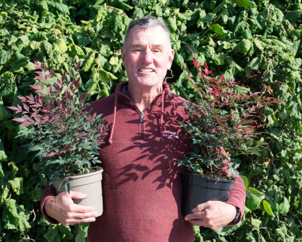 Wyevale Nurseries to introduce recyclable plant pots
