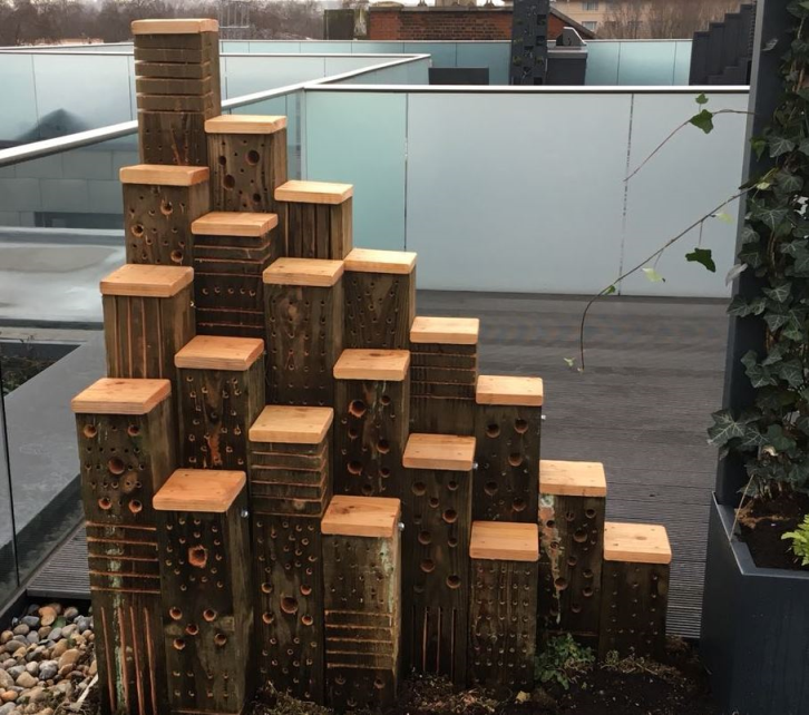 Wildlife World excels in anniversary year