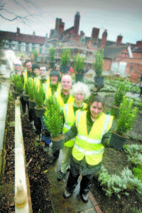 Wyevale Nurseries - Shakespeare’s New Place