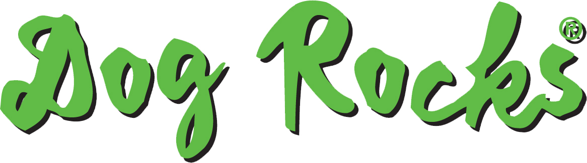 Dog Rocks Named as Winners of the West Berkshire Young Entrepreneur Series