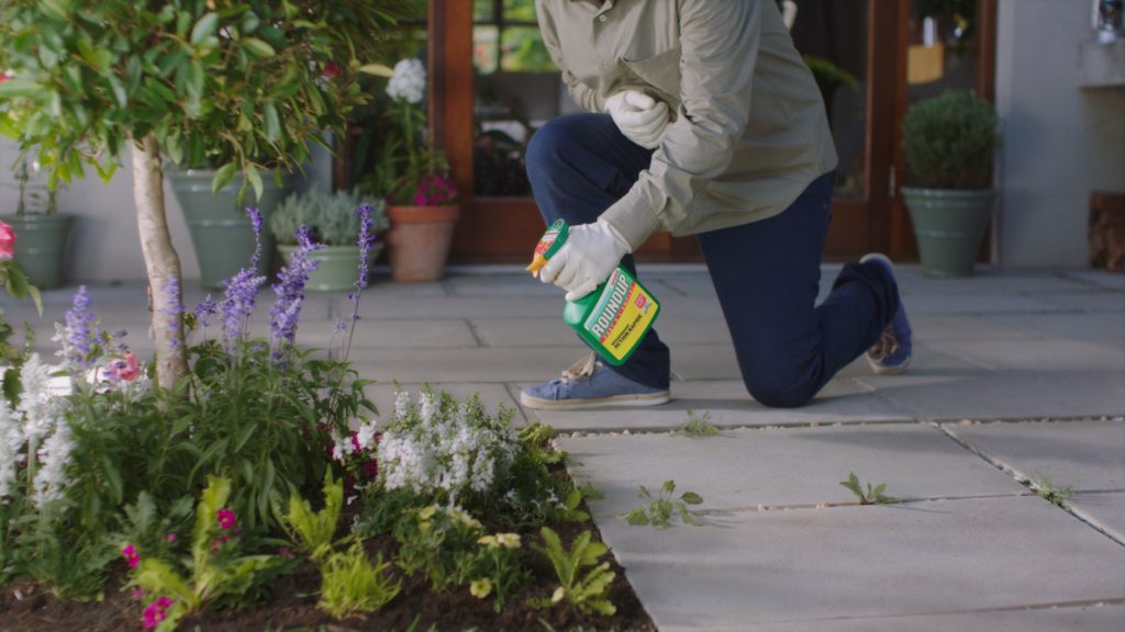 Evergreen takes to TV screens with new £3.5m ad campaign