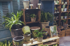 2% increase expected in garden industry until 2023