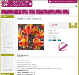 Joy of Plants launches webshop integrations for Shopify, Bluepark & WooCommerce