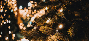 michael voroshnin OvR8LDjQLtI unsplash sml Strong Christmas sales for garden centre retailers reports HTA