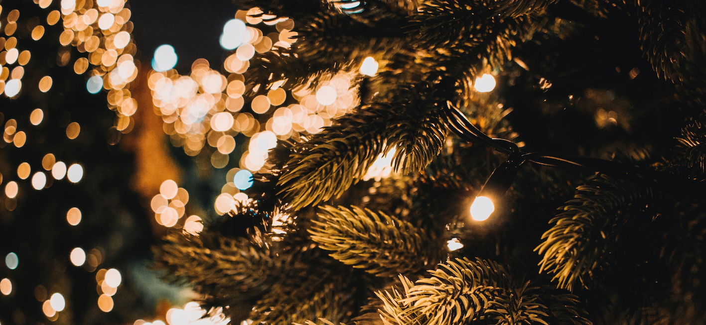 Strong Christmas sales for garden centre retailers reports HTA