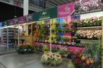 2063.photo.2 Parker’s Nurseries win Best Plant Display at HTA National Plant Show