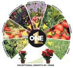 367.photo.2 ONE explodes in UK.