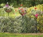 NEW for the summer gardening season - the border basket planter from Tom Chambers. 1 495.photo.2 NEW for the summer gardening season - the border basket planter from Tom Chambers.