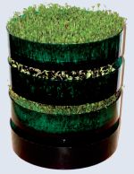 763.photo.2 Bring veg growing indoors with Johnsons Geo Microcrops