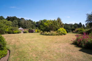 shutterstock 1131513914 Heatwave cost the average British household £180 in gardening bills